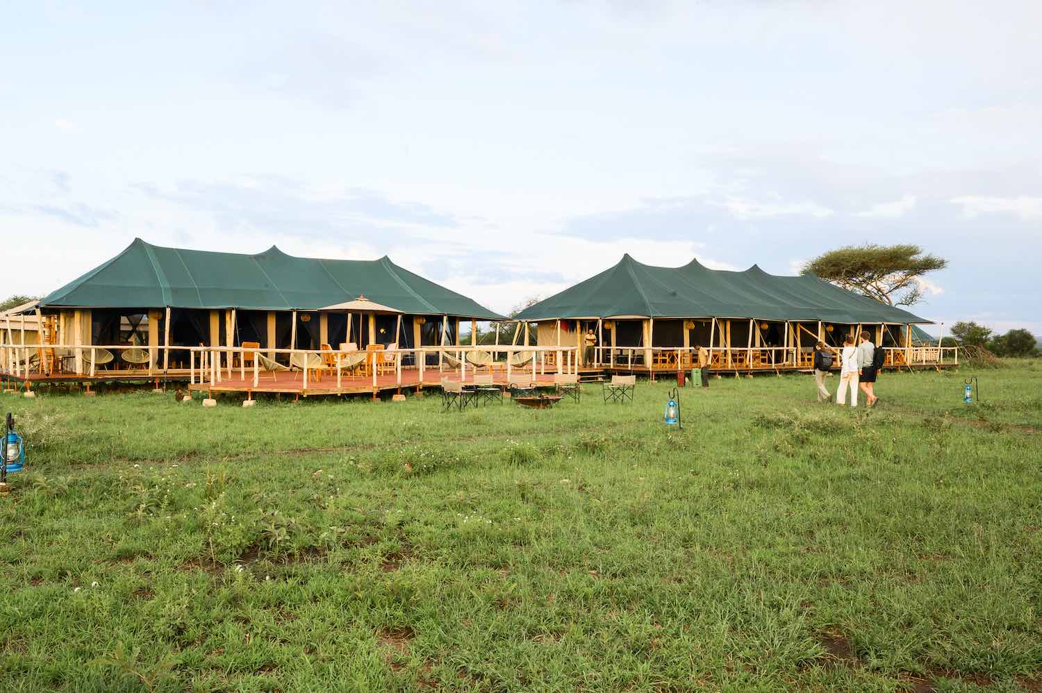 Safari camp exterior with multiple tents and natural grassland setting