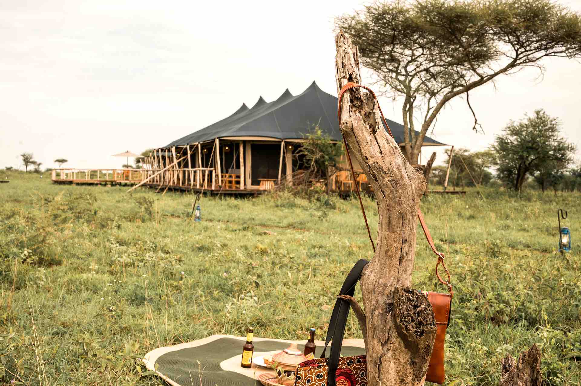 Authentic bush dining setup with traditional African elements