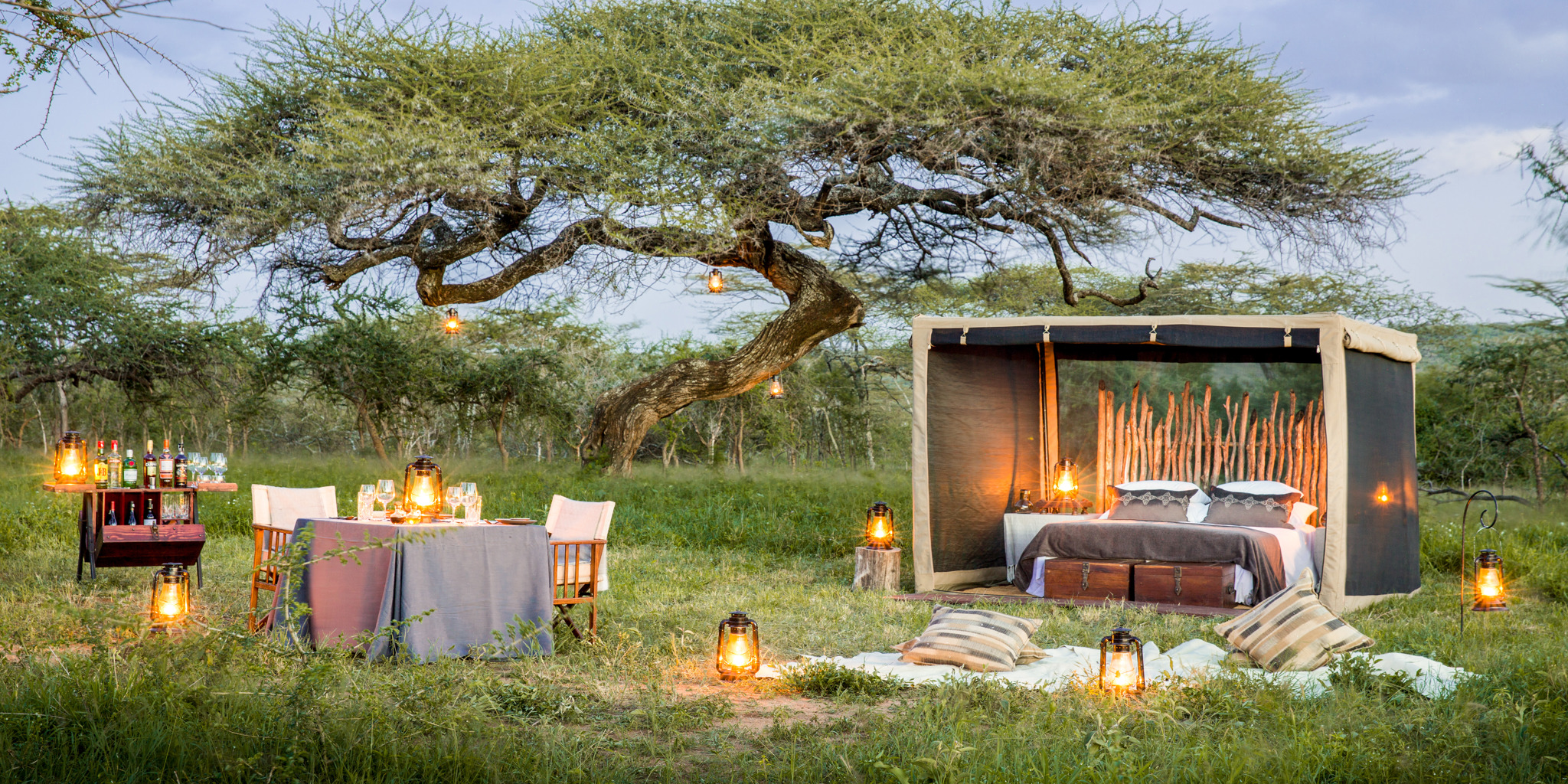 Yellow Zebra Safaris