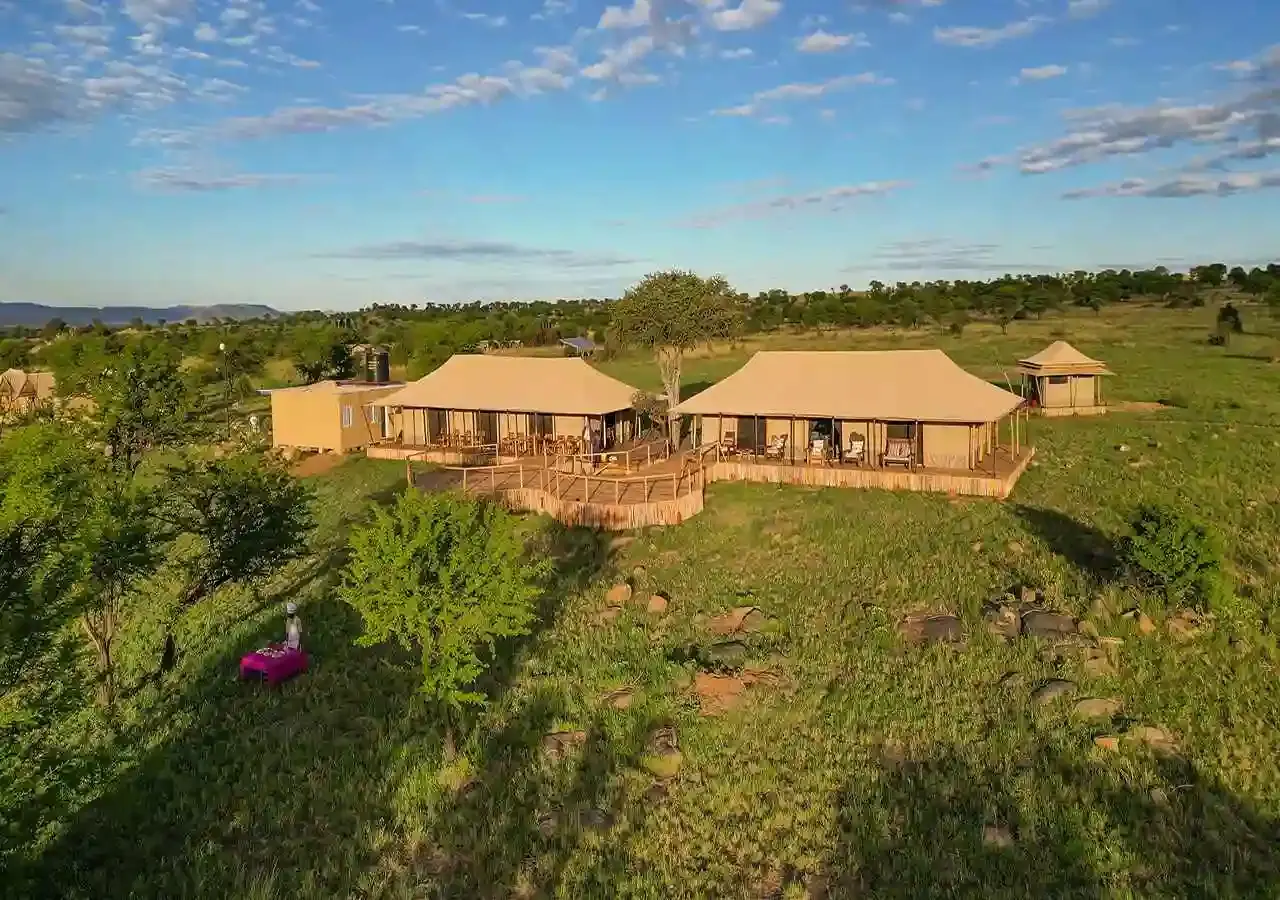 Aerial view of complete safari lodge complex with multiple structures